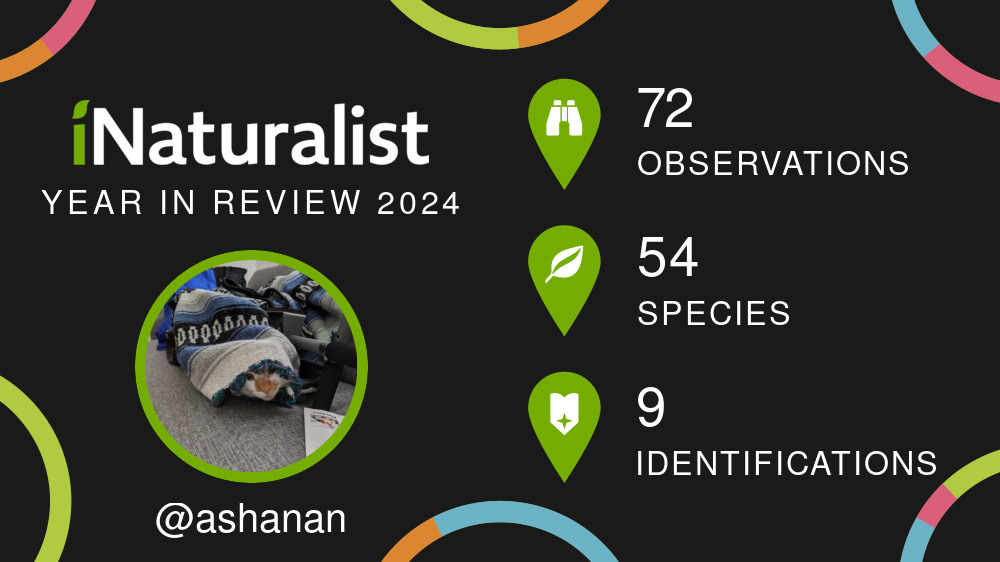 "iNaturalist 2024 year in review for user @ashanan. 72 observations, 54 species, 9 identifications"